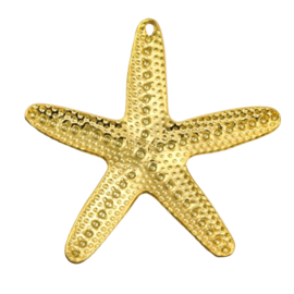 Zeester Bedel - Stainless Steel Goud