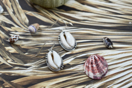 Dotted Cowrie Shell Earrings /Sterling Silver