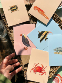 Ansichtkaart 'Sleepy Head'