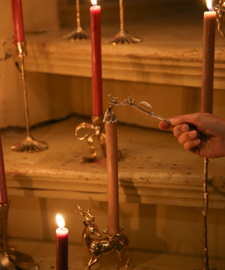 Chirpy Candle Sniffer / Doing Goods