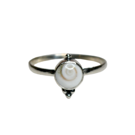 Triple Dotted Shiva Shell Ring Sterling Silver