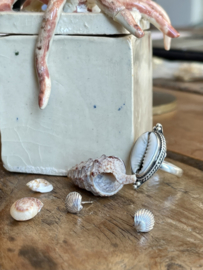 Sea Shell Studs Sterling Silver Oorstekers