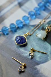 Pani Diya Oorknopjes - Gold Plated