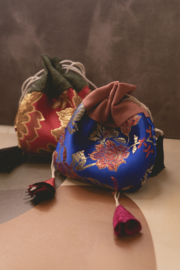 Ganesha Met Tijgeroog In Buidel