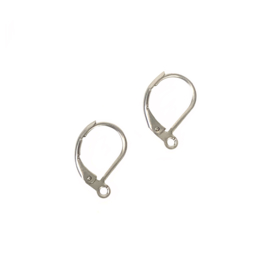 Oorbel Hanger met Oog RVS Zilver (6x)