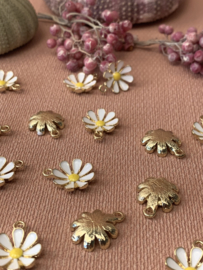 Daisy Bedel Goud