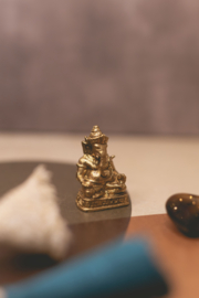 Ganesha Met Tijgeroog In Buidel