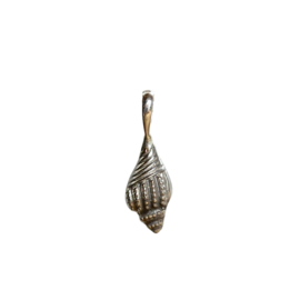 Banded Shell Pendant / Sterling Silver