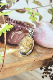 Plume Agaat Hanger - Sterling Zilver