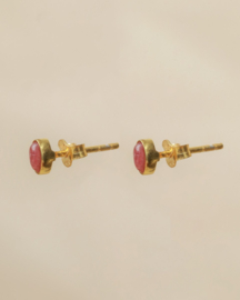 Guarani Rhodonite Gold Vermeil Earstuds / Muja Juma