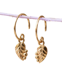 Nigella Leaf Gold Vermeil Earrings / Muja Juma