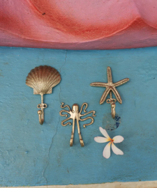 Sienna Zeester Wandhaak / Doing Goods