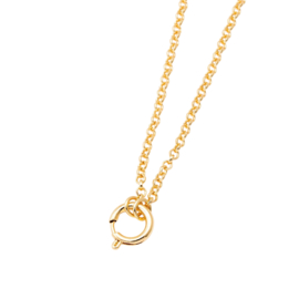 Basis Ketting met Veersluiting - Gold Plated