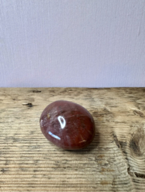 Versteend Hout