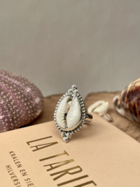 Cowrie Shell Ring Sterling Silver