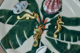 Zeepaardje Bedel Gold Plated