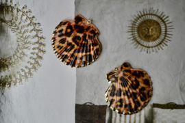 Luipaard Print Schelp Bedel