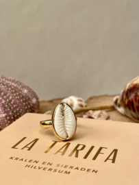 Cowrie Shell Ring Gold Vermeil