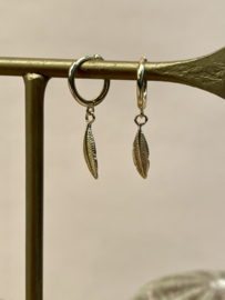Pankh Feather Oorbellen - Gold Vermeil