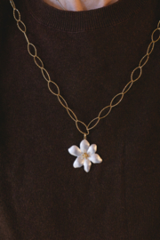 Ankerschakel Roestvrijstaal Goud (per 10 CM)