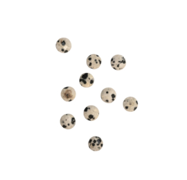 Dalmatier Jaspis Facet Coin Kralen (10 pcs)