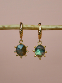 Soleya Labradoriet Oorbellen - Gold Plated