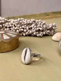 Cowrie Shell Ring Sterling Silver