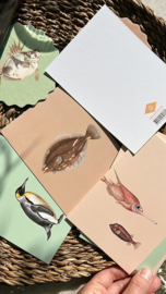 Ansichtkaart 'Theresa'