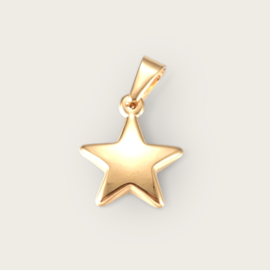 Large Star Pendant Stainless Steel