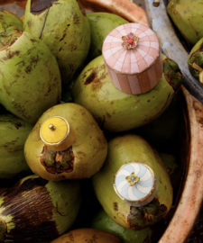 Bailey Circus Sieradendoosje Klein Geel / Doing Goods