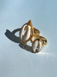 Cowrie Shell Ring Gold Vermeil