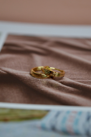 Elara Hoop Oorbellen - Gold Plated