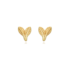 Leaf Earstuds Gold Vermeil