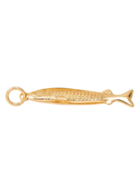 Anjovis Bedel - Gold Plated