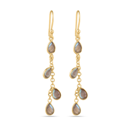 Labradorite Gold Vermeil Chain Earrings / Edelsteen Oorbellen