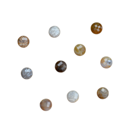 Fossiel Koraal Facet Coin Kralen (10 pcs)