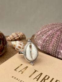 Cowrie Shell Ring Sterling Silver