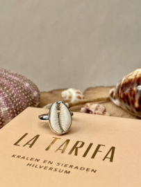 Cowrie Shell Ring Sterling Silver