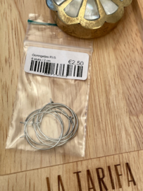 Oorbel Ring RVS (6x)