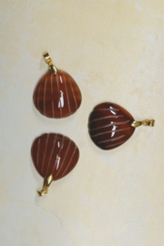 Carneool Schelp Hanger