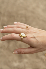 Cowrie Shell Ring Gold Plated