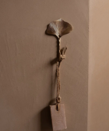 Flora Ginko Haak / Doing Goods