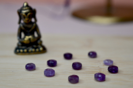 Amethist Facet Coin Kralen (10 pcs)