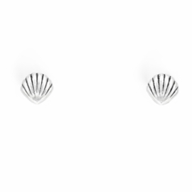 Shell Earstuds Sterling Silver
