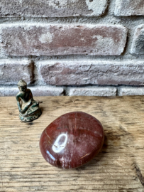 Versteend Hout