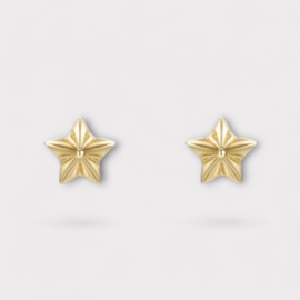 Ster Oorknopjes - Gold Vermeil