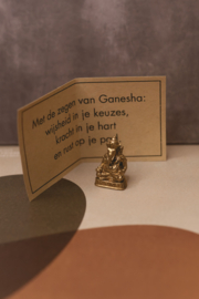 Ganesha Met Tijgeroog In Buidel