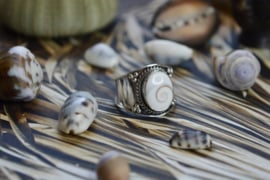 Tribal Shiva Shell Ring Sterling Silver