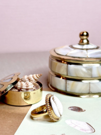 Cowrie Shell Ring Gold Vermeil