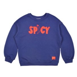 Ammehoela Riff sweater - Skipper Blue